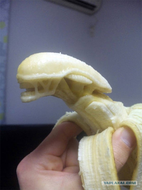 Теплый зимний лицехват