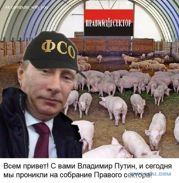 Всем привет! С Вами Владимир Путин и сегодня...