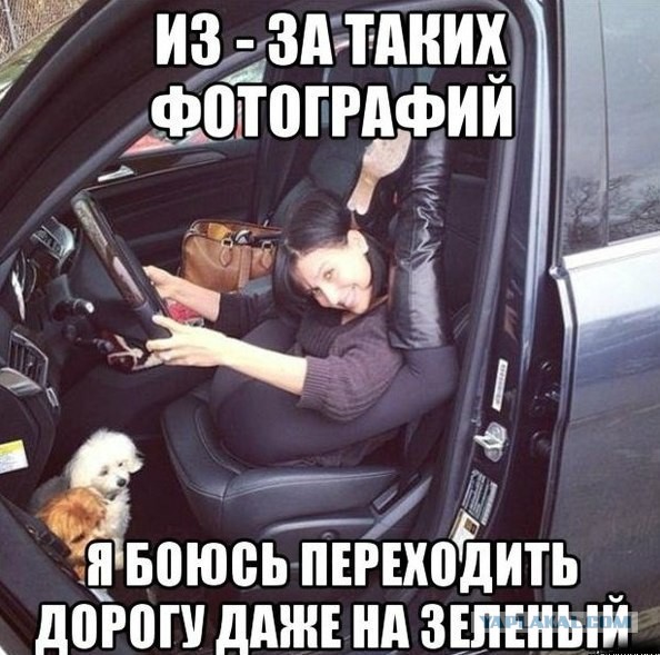 Подборка веселых картинок