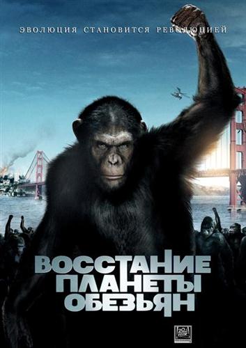 Они без причин убили моего братана — нахер закон!