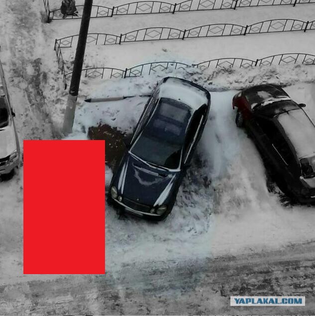 В нашем доме появился