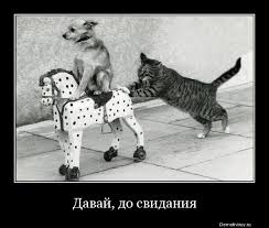 Британка не выдержала русского гостеприимства