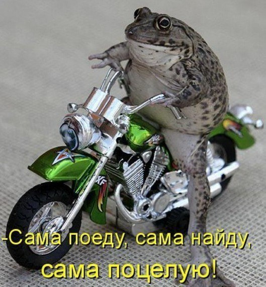 Картинки на вторник