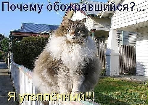 Картинки и демотиваторы