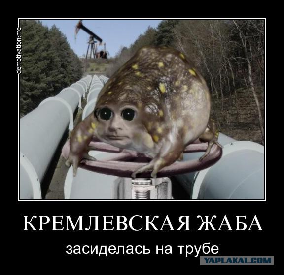 Где деньги, Зин?