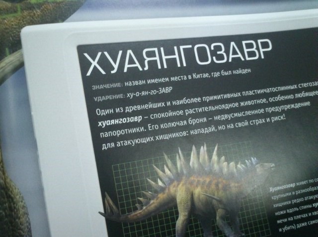 Книжные маразмы и приколы
