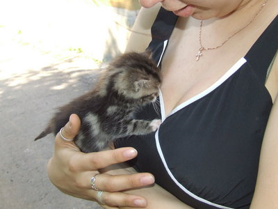 Котомет на вторник!