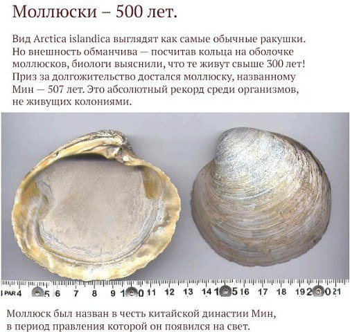 Картинки разные