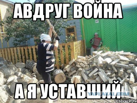 Не перевелись еще альфа-самцы на нашей планете