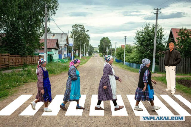 Подборка интересных и прикольных фото