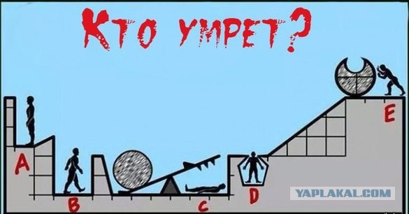 20 маразмов из современных учебников, которые способны сломать мозг