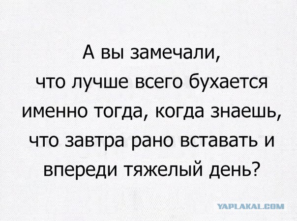 Смешные комментарии из социальных сетей 25.11.2016
