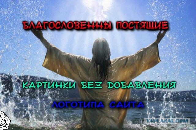 Порция пикчей из палаты №6