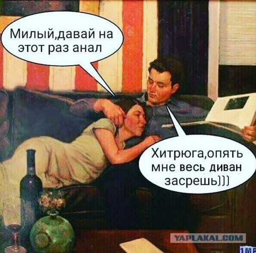 Прикольные картинки
