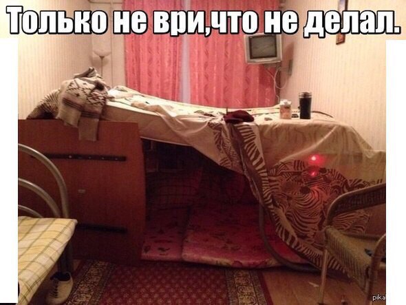 Подборка безудержного веселья