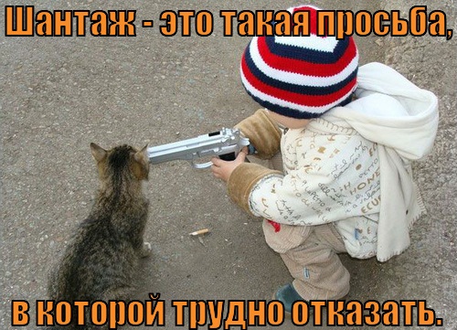 Во Владимире ученикам школы пригрозили изъятием из семей за поход на антикоррупционный митинг