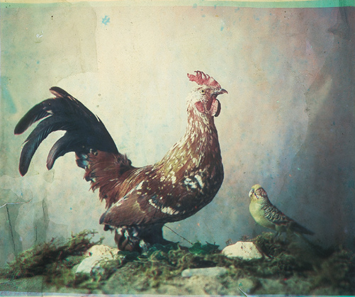 История фотографии. Самые первые снимки