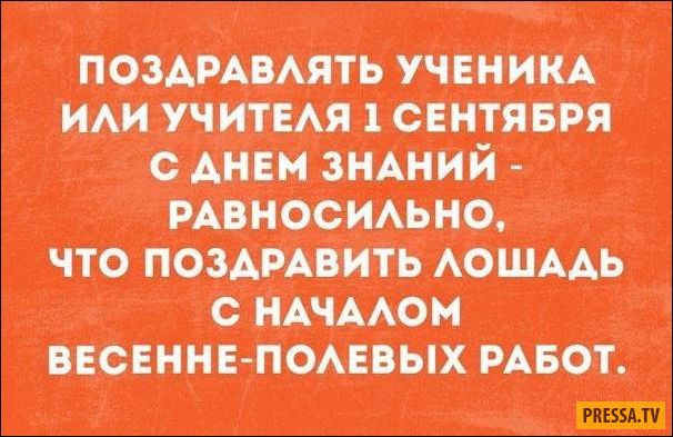 Прикольные открытки для любителей сарказма