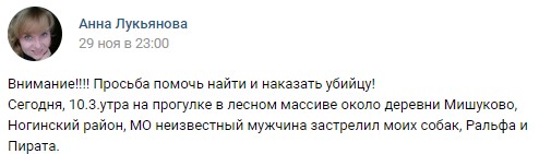 Мужчина застрелил двух овчарок