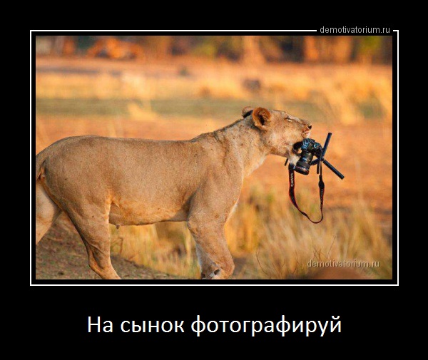 Подборка картинок. Забавных, прикольных - разных!