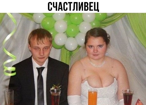 Лента прикольных картинок