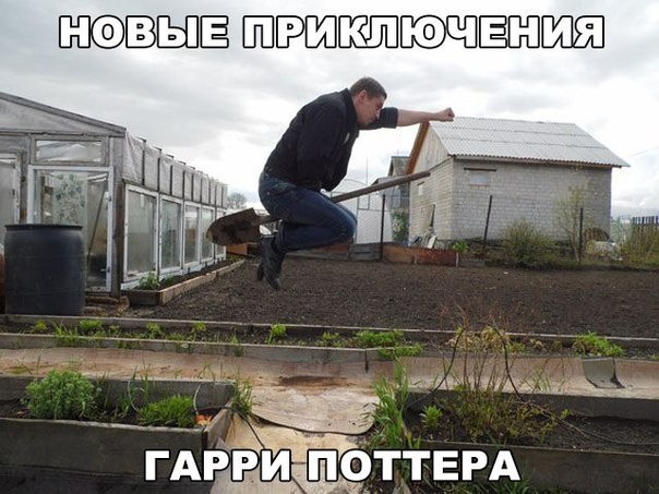 Нестандартный юмор