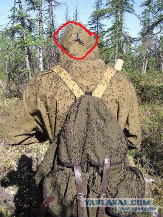 Одиночество в сети