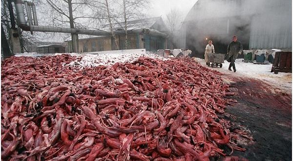 Геноцид женщин