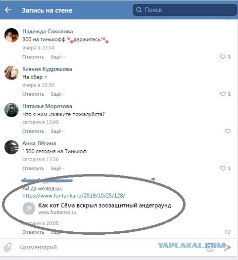 Помогите вернуть кота! Приют "Преданное сердце" украл кота и не отдает!