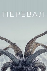Сериалы