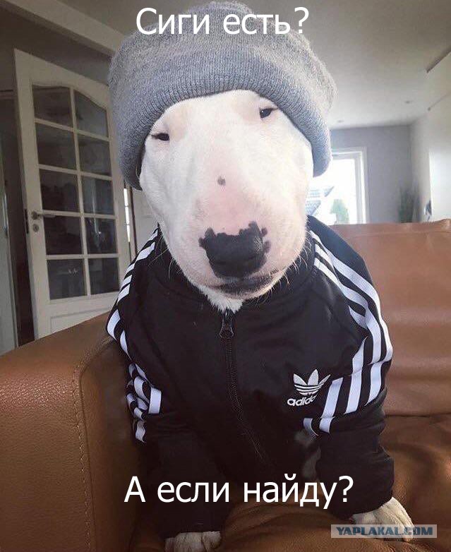 Велосипедисту не повезло