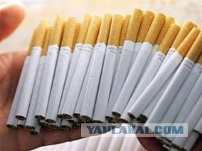 Австралийцы - курите "на здоровье