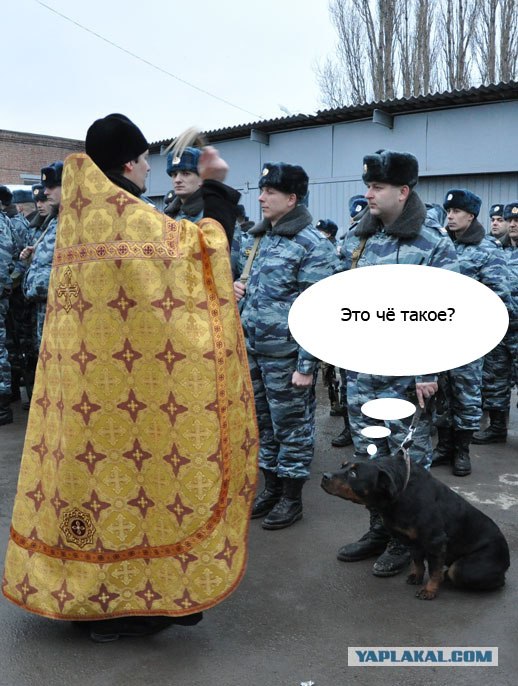 Во имя отца, сына....