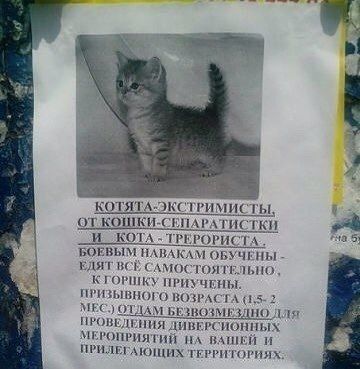 Кретинизмы из сети 02.01.2021. Типа новогодние