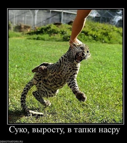 Бредзона 15.02.21