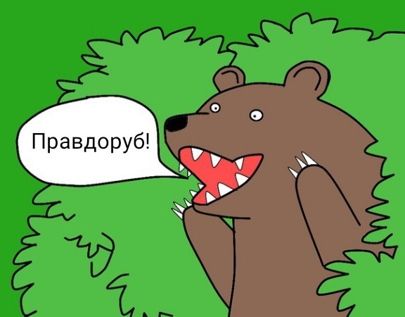 Путин объяснил, кто виноват в росте цен на продукты