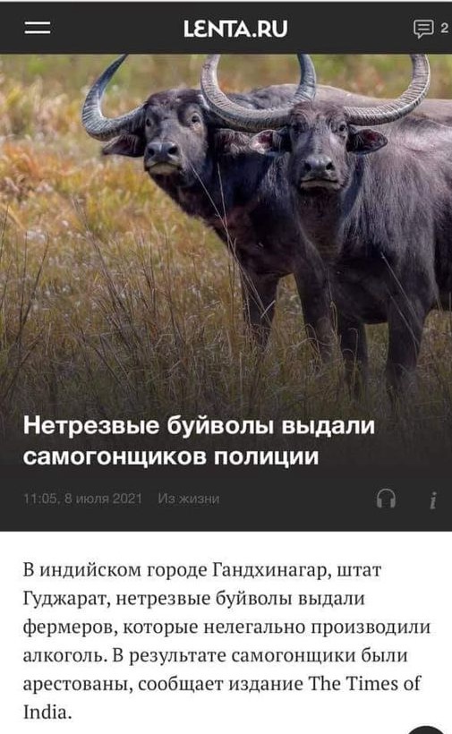 Так себе картинки 11.07.21