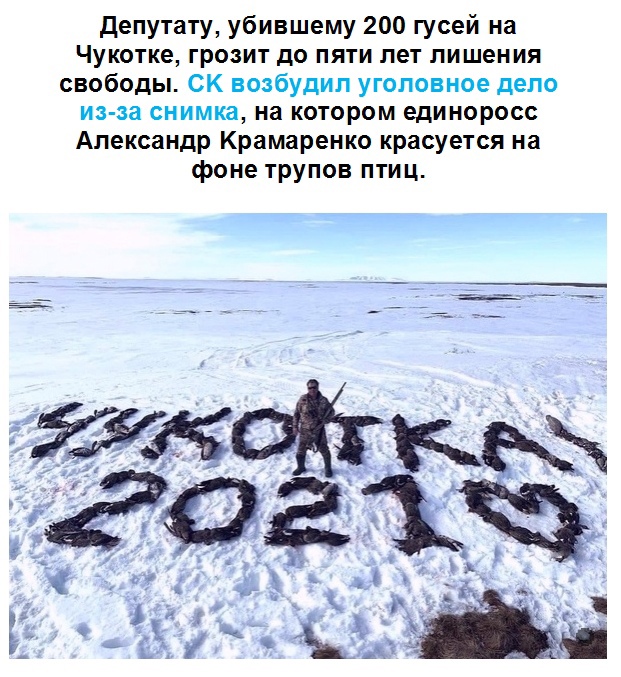 Картинки и мемы для настроения 04.08.2021