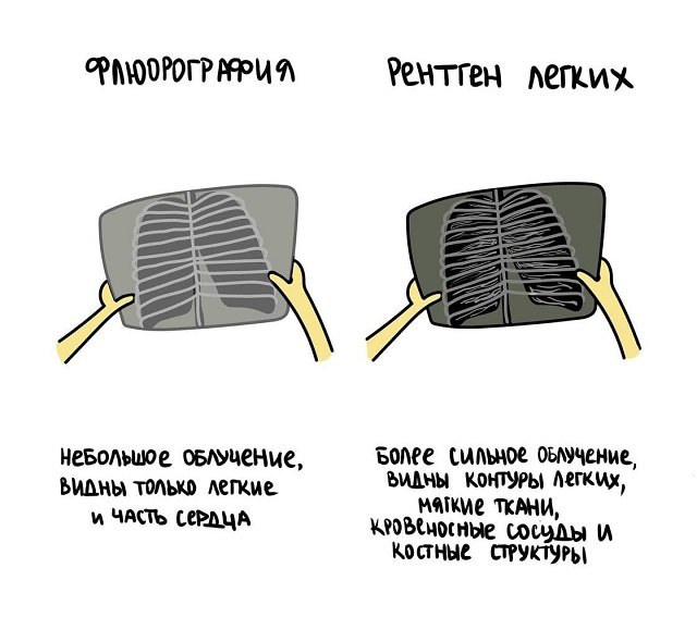 А может вы не знали...