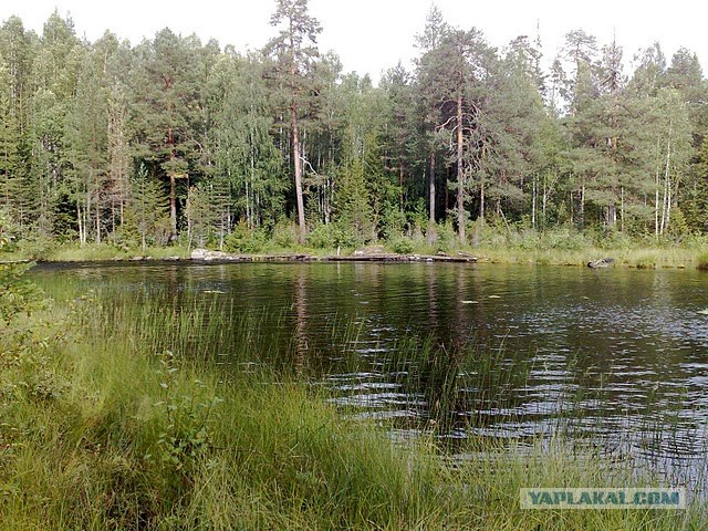 Моя Карелия