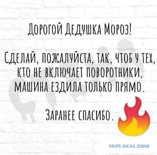 Редчайшие кадры!