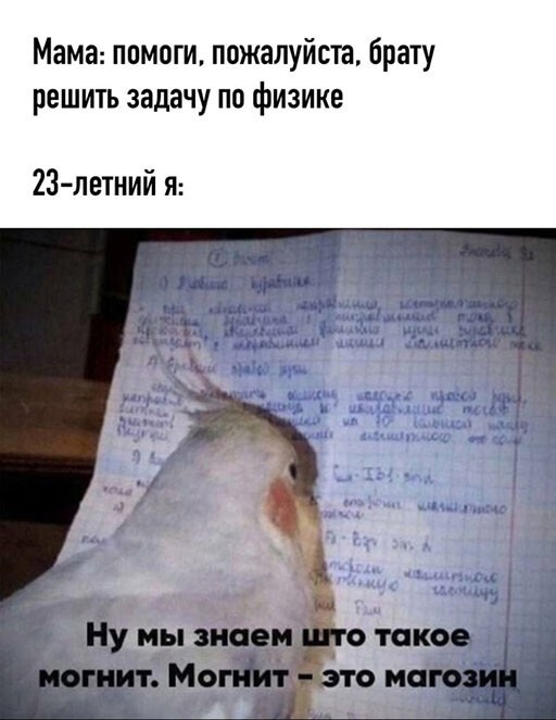Баянисто-небаянистый юмор 8.01.22