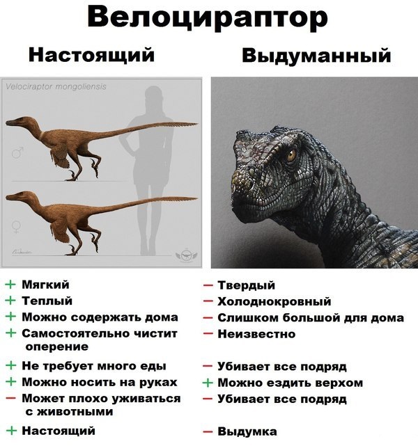 HD трейлер "Мир Юрского периода. Господство"