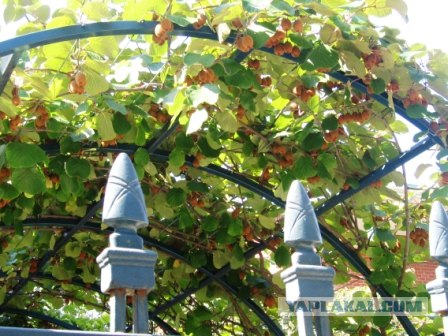 Где бюджетно отдохнуть?