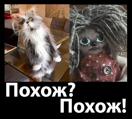 Кот снежного человека?