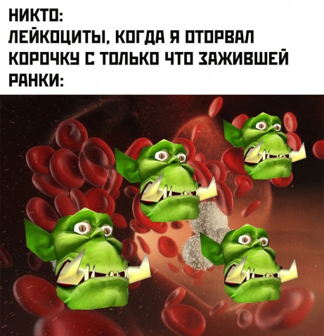 Картинки и мемы для настроения - 23