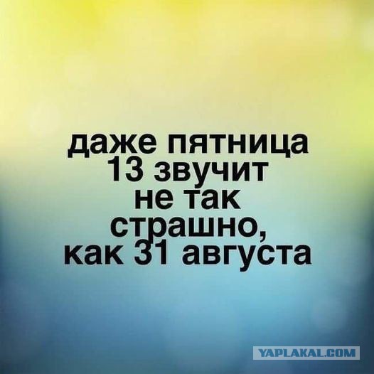 Немного картинок для настроения - 131