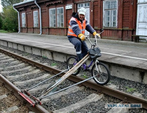 Чудо техника и собака