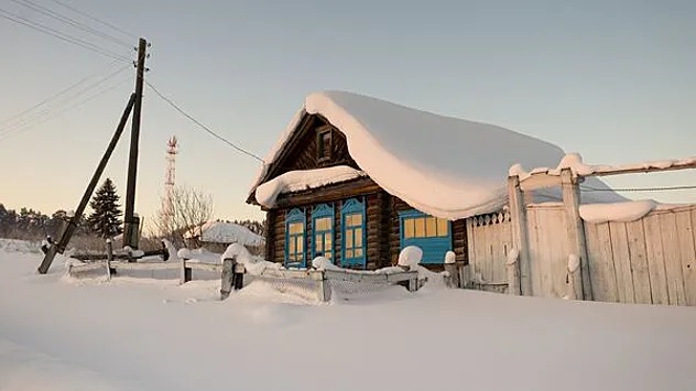 Российская чиновница предложила недовольным перестать "гавкать"