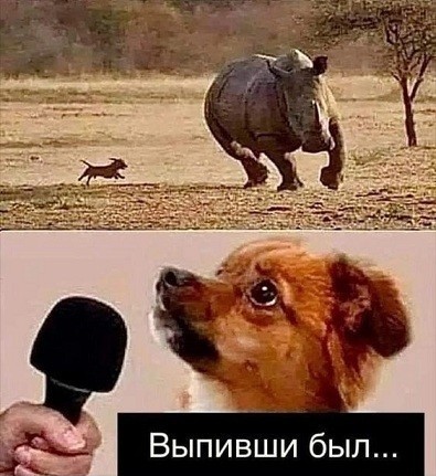 Борзометр сломался